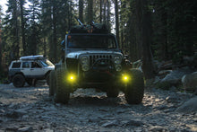 Load image into Gallery viewer, DynaTrac Prorock Dana 60 Steerable Knuckle Pod Light Mounts for High Steer